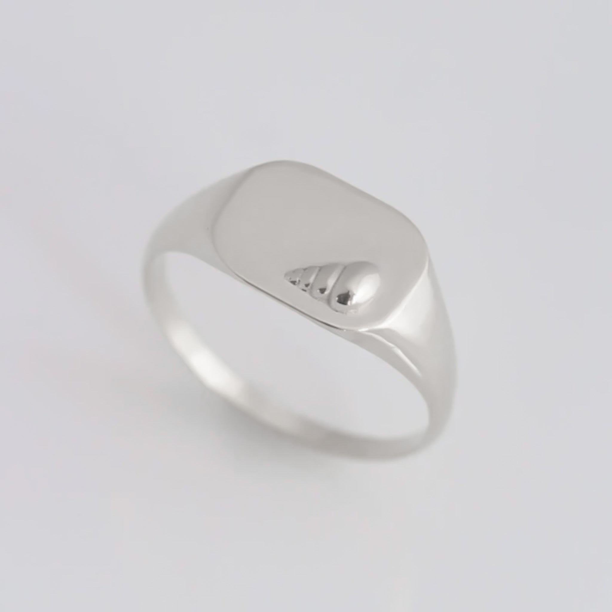 Conch Signet ring silver
