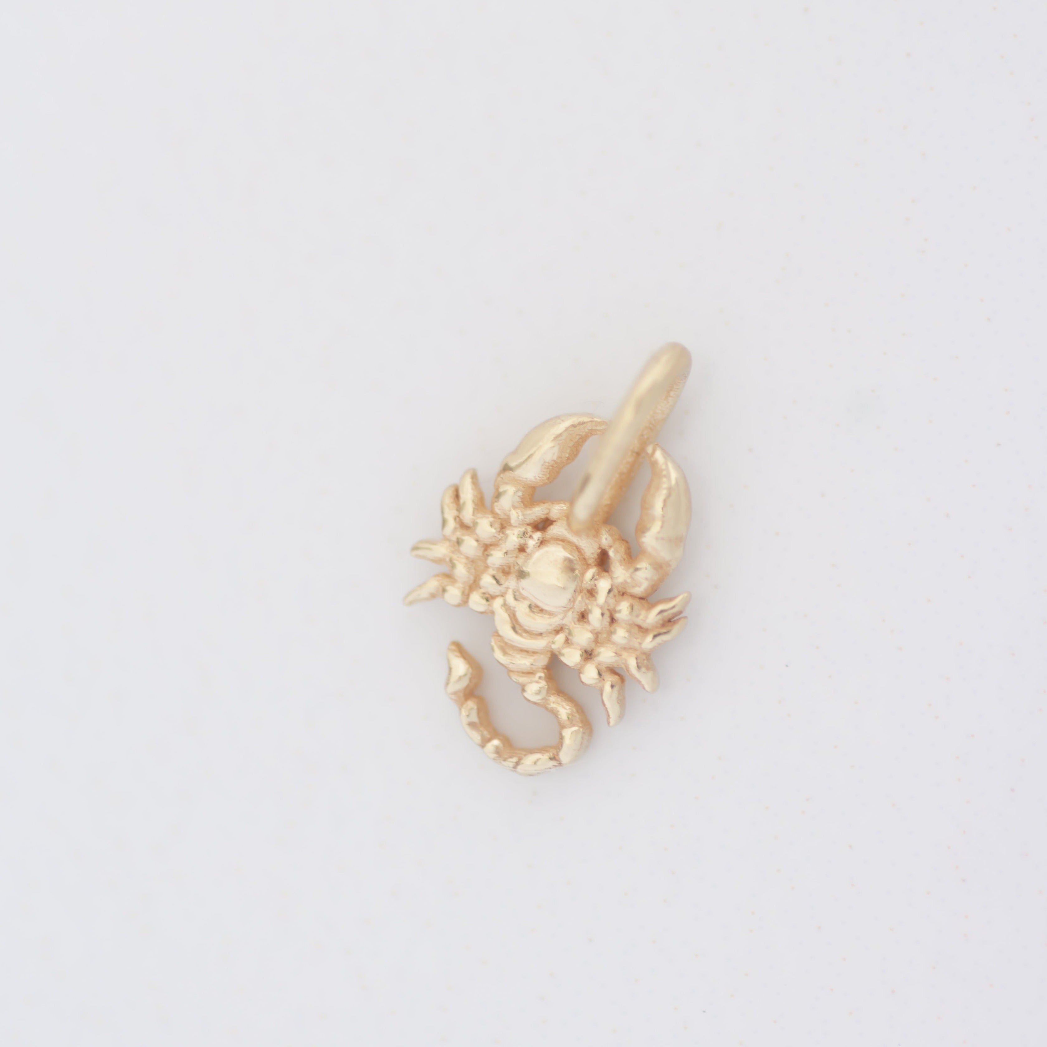 Scorpion Charm 14k gold