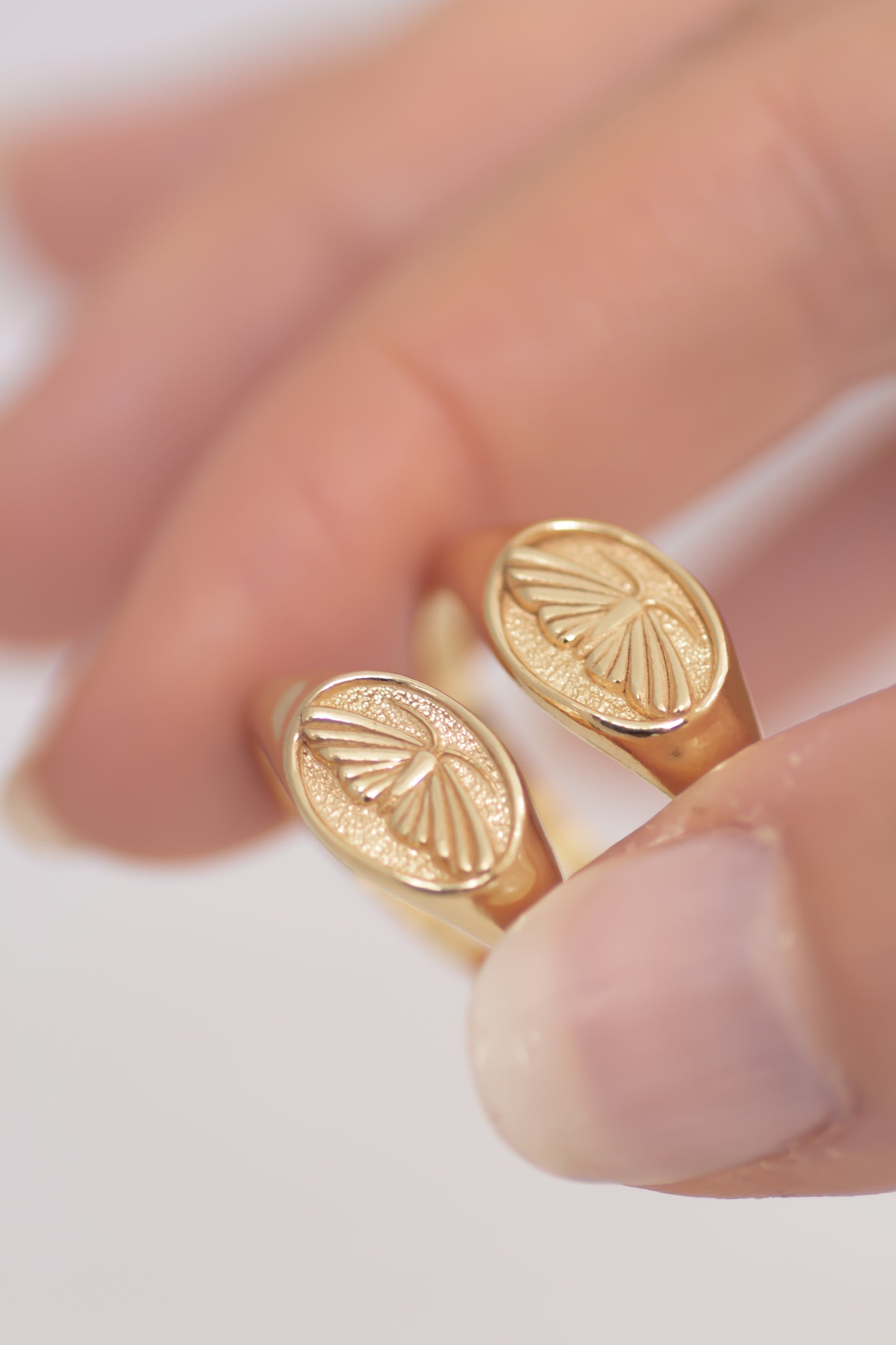 Moth signet ring 14k gold