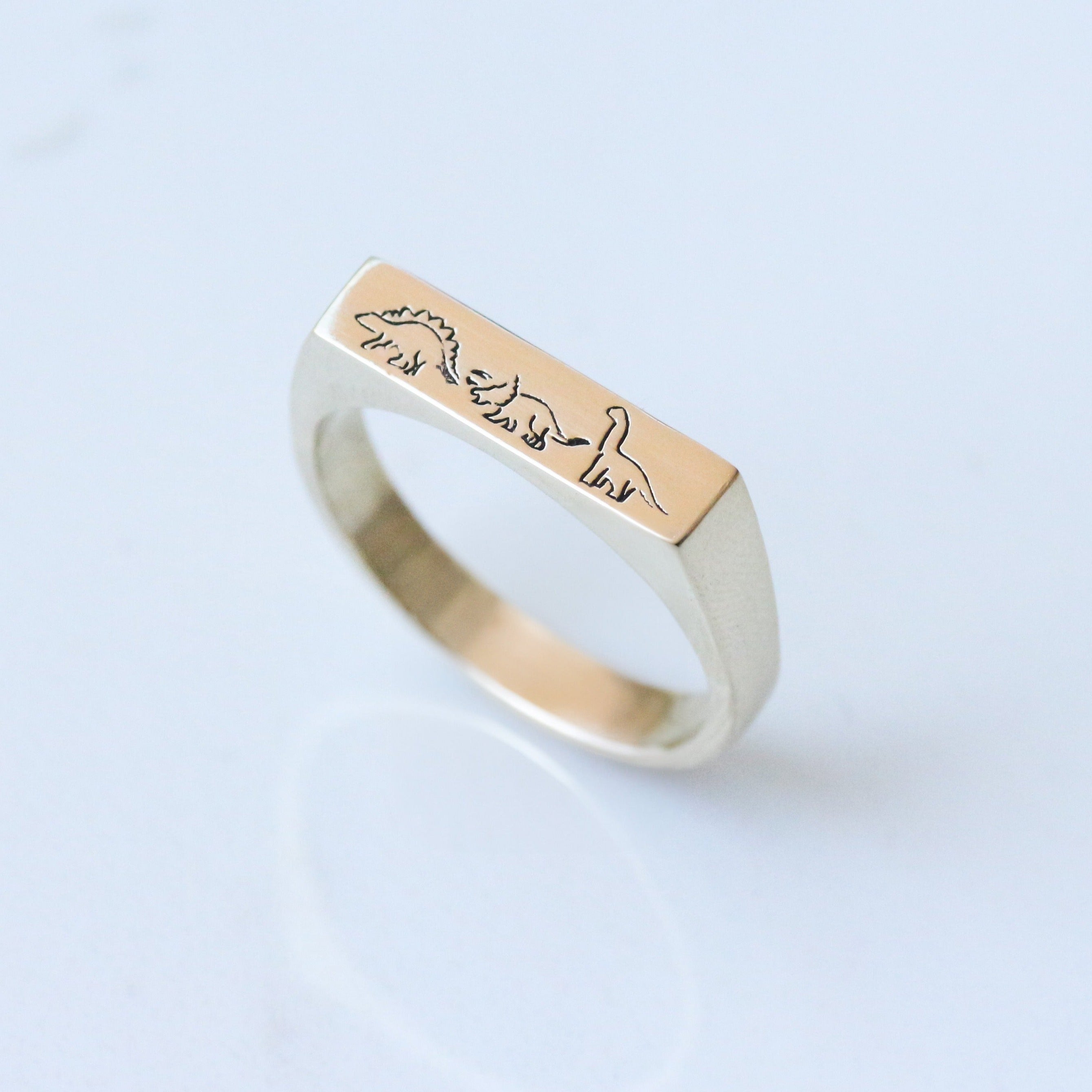 Dino Signet ring 14k