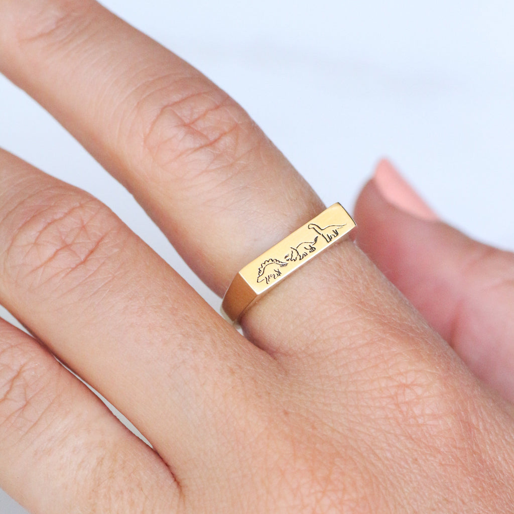 Dino Signet ring 14k