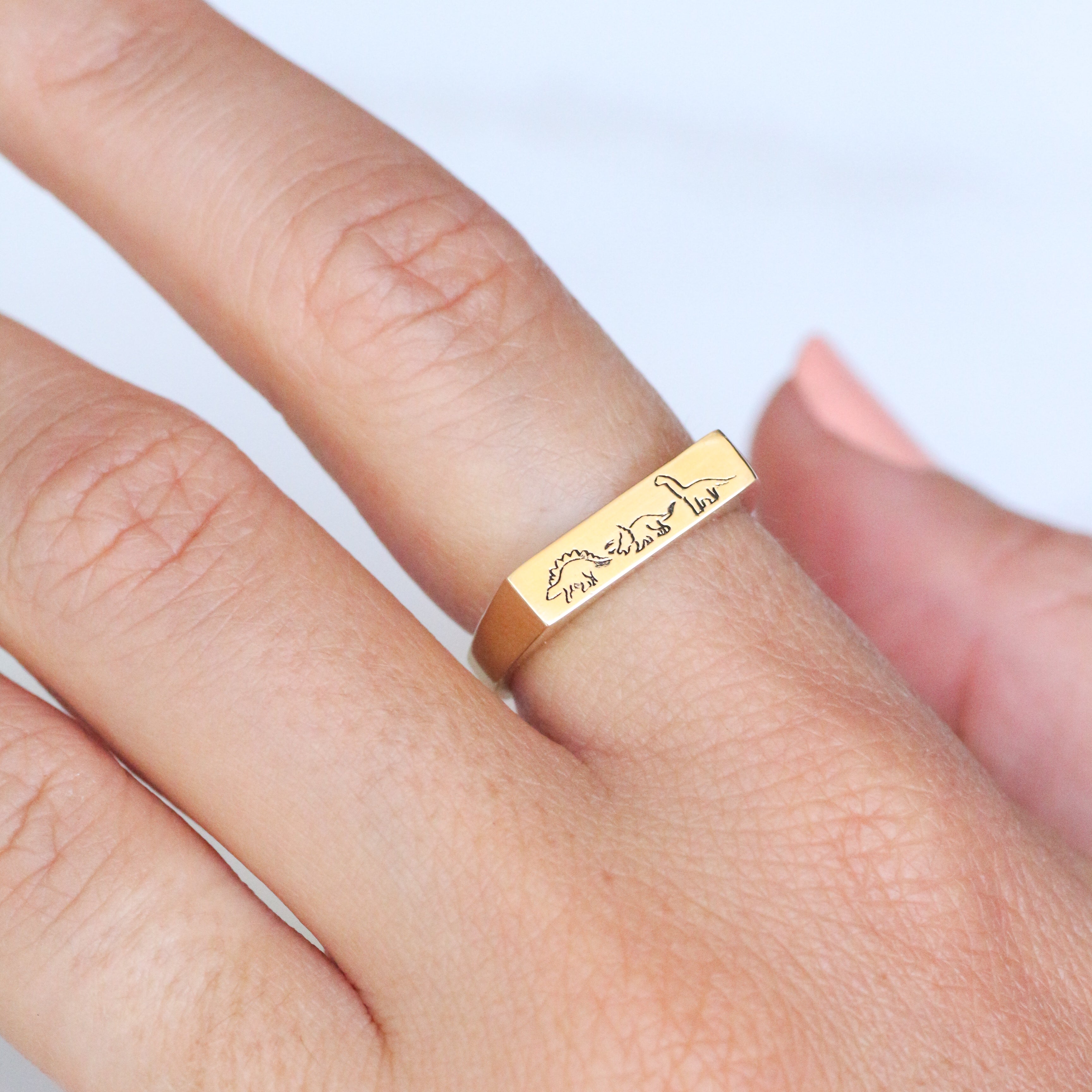 Dino Signet ring 14k