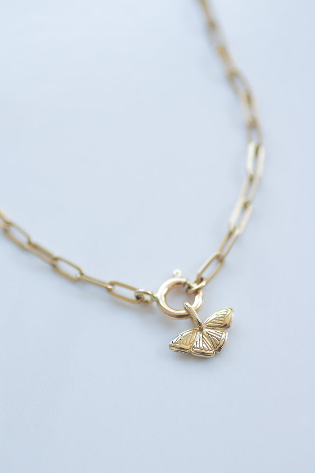 Paperclip Chain necklace round clasp 14k gold