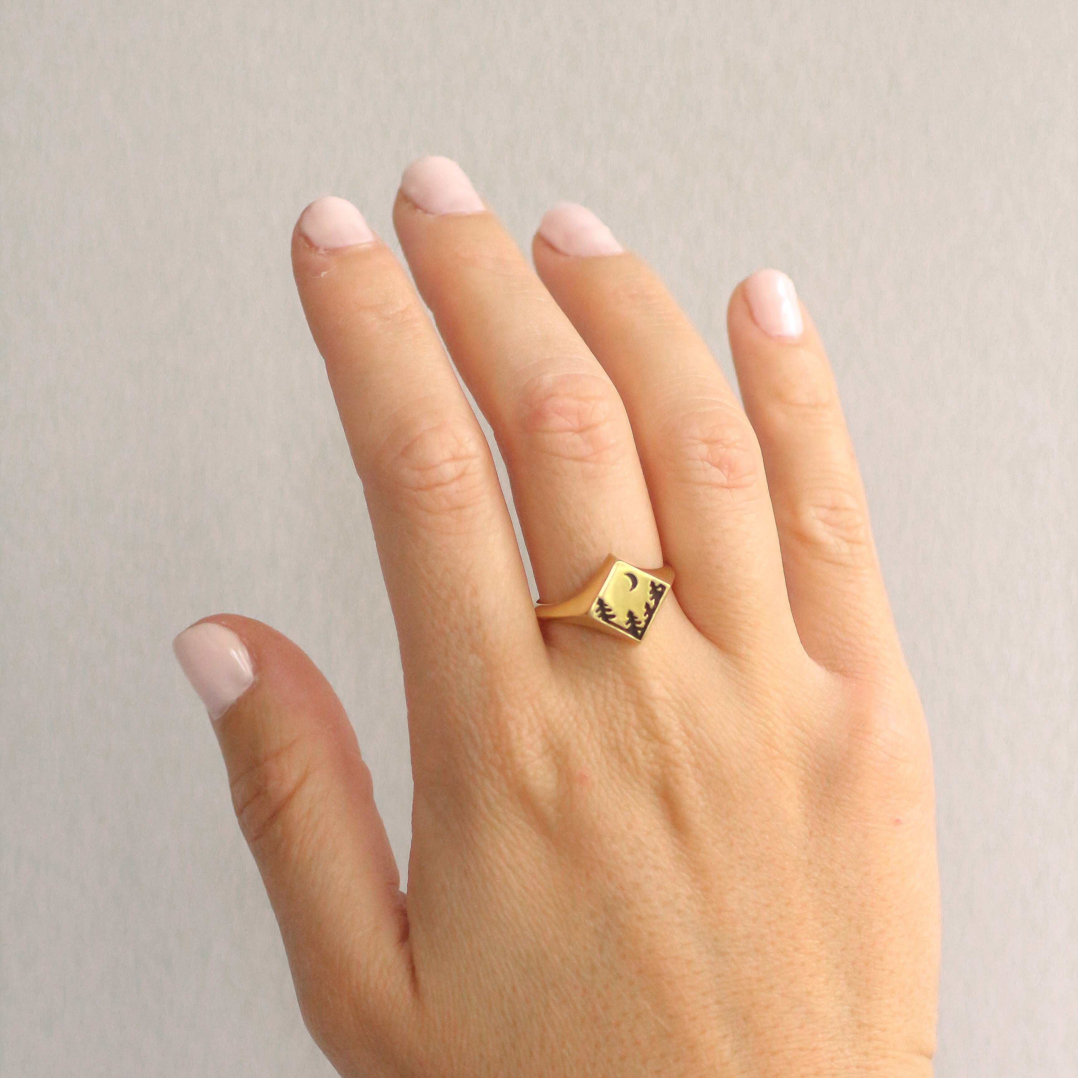 Yosemite Signet Ring 14k gold