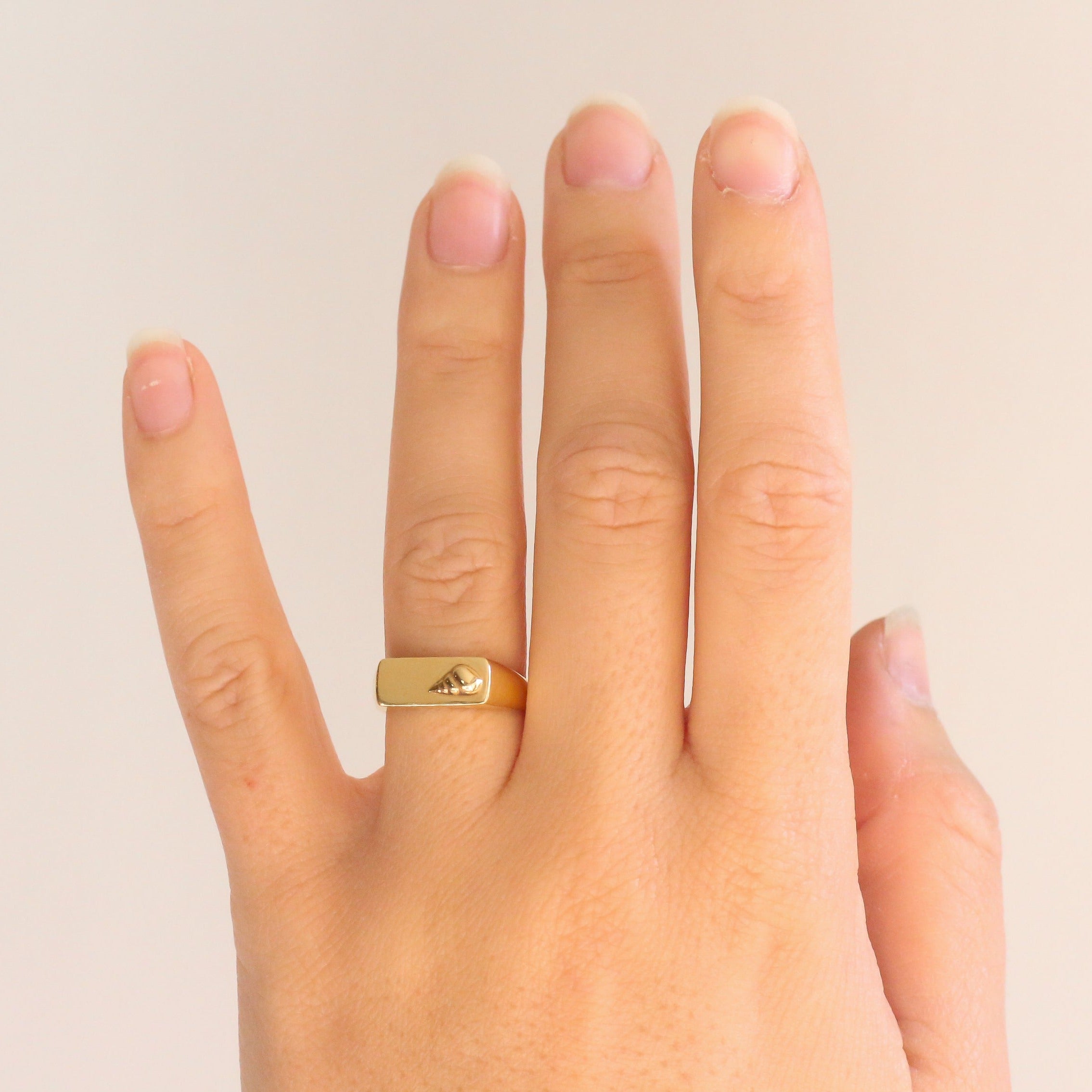 Conch Shell Signet Ring 14k Gold