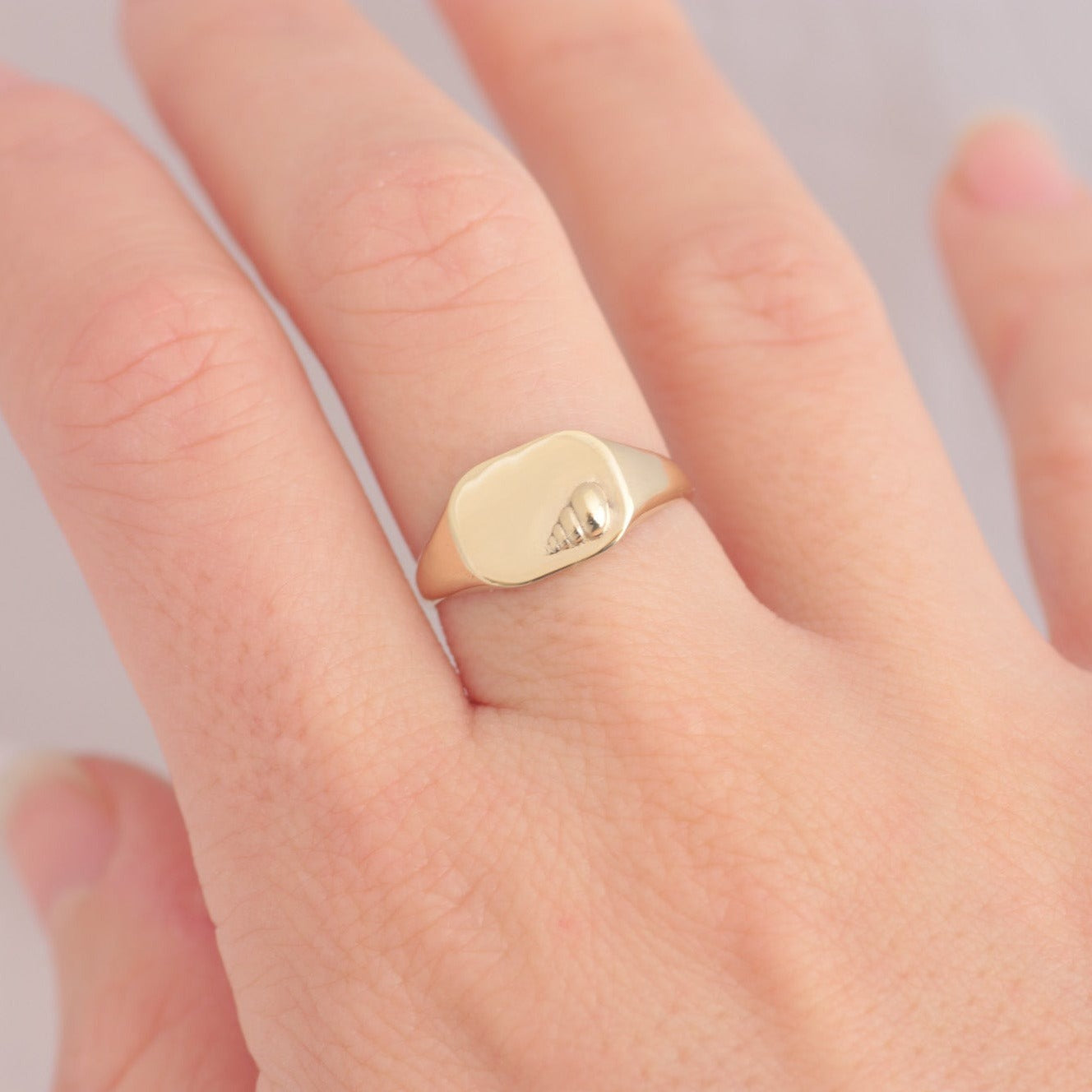 Conch Signet ring 14k gold