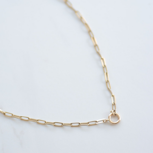 Link Chain necklace large clasp 14k gold