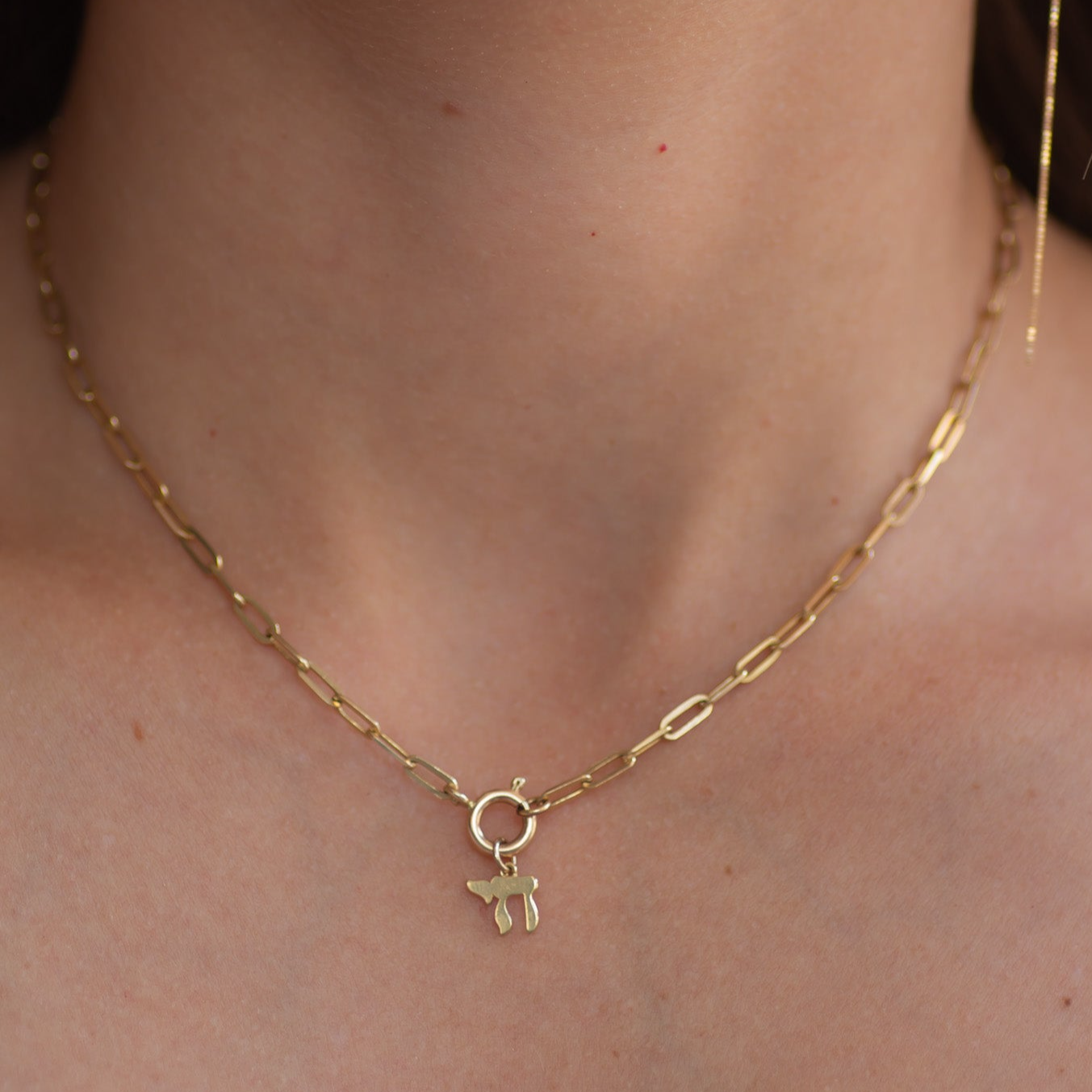 Paperclip Chain necklace round clasp 14k gold
