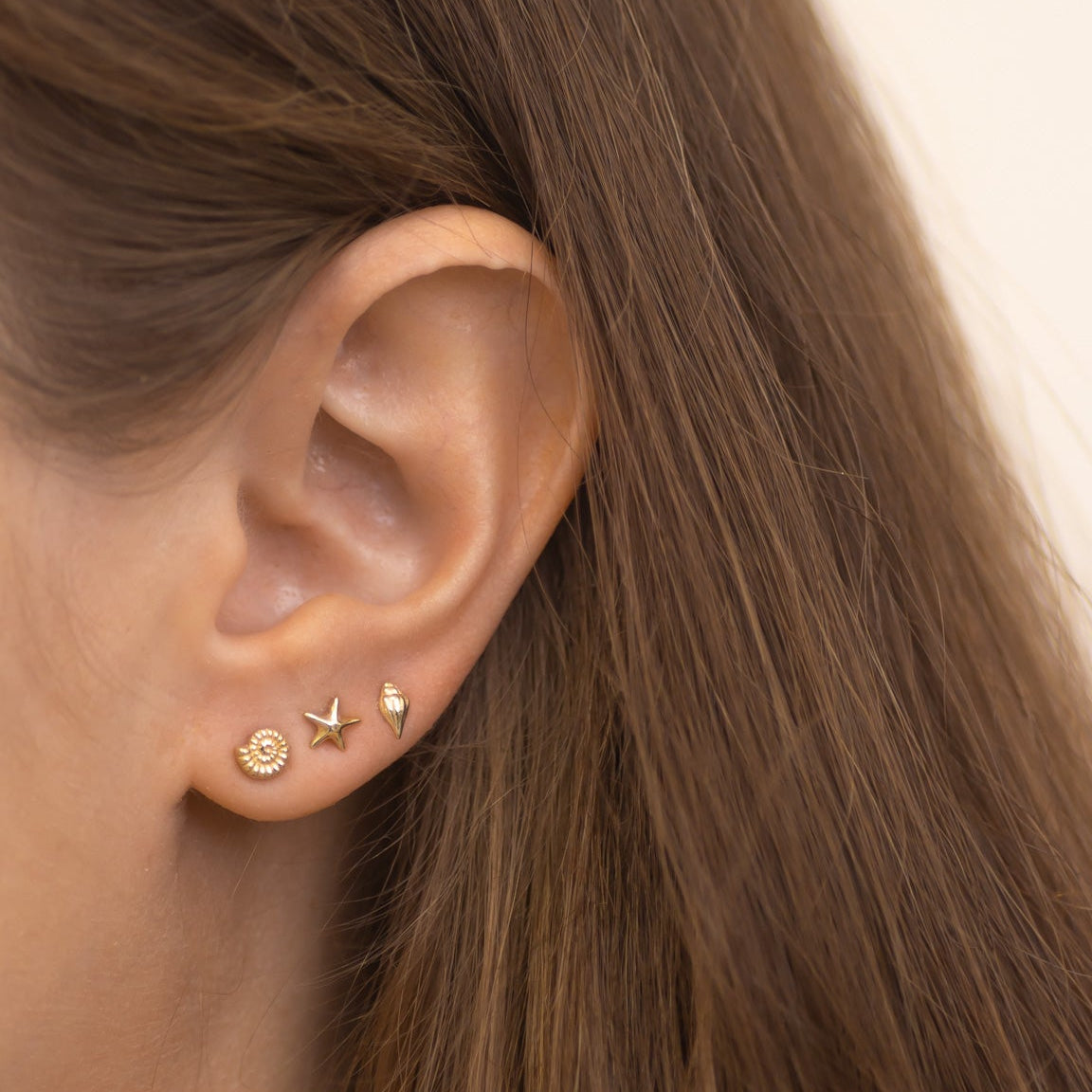Mini Seashell Studs Set in 14k gold