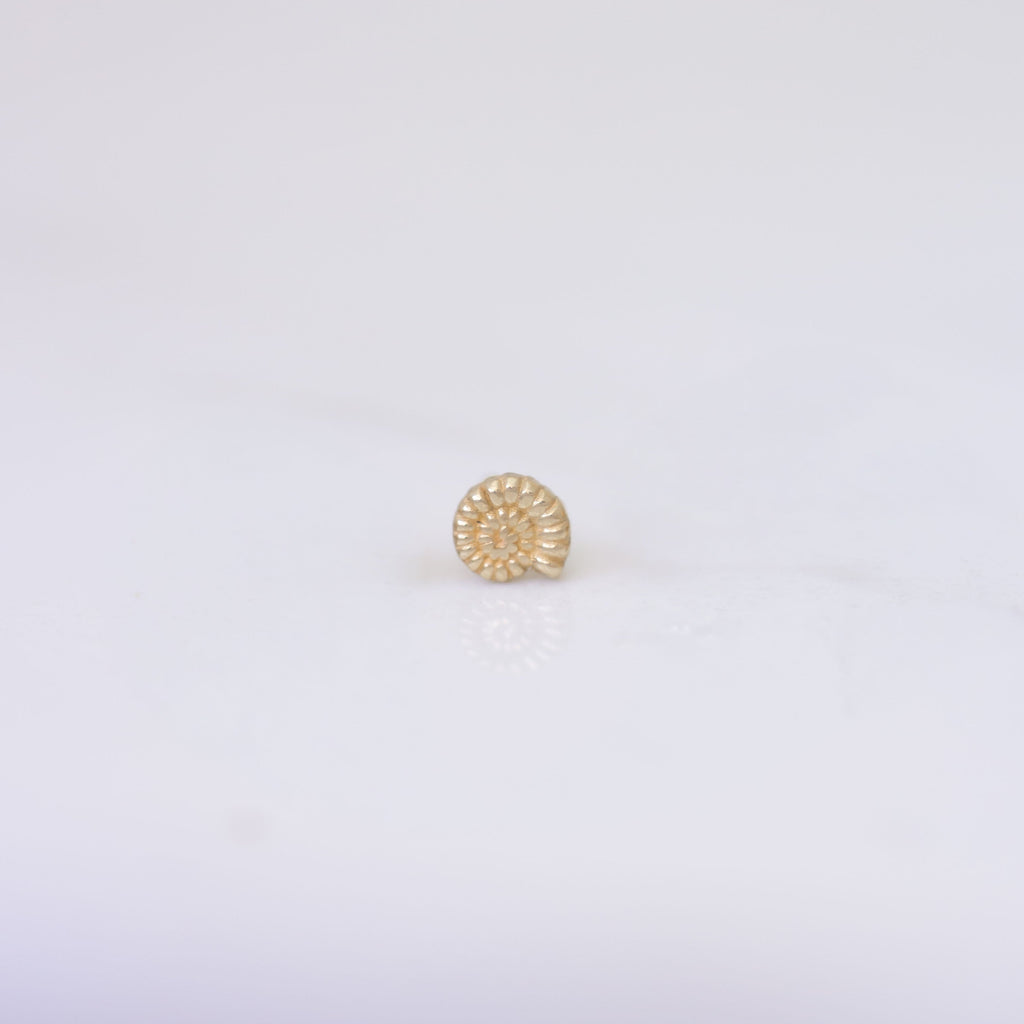 Nautilus Shell Earring Stud in 14k gold