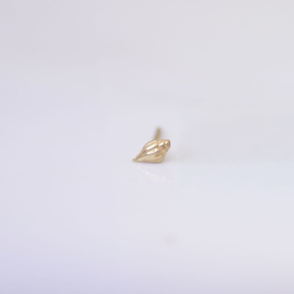 Conch Shell Earring Stud in 14k gold