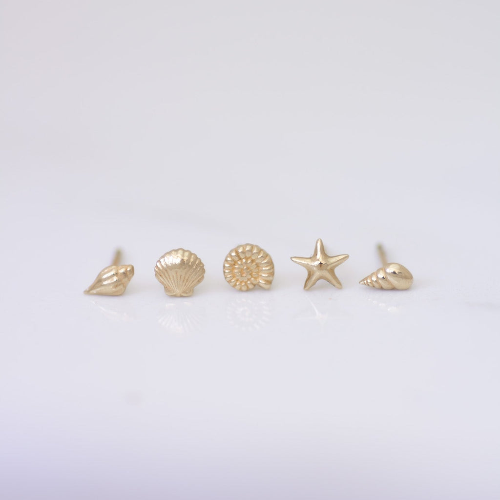 Conch Shell Earring Stud in 14k gold