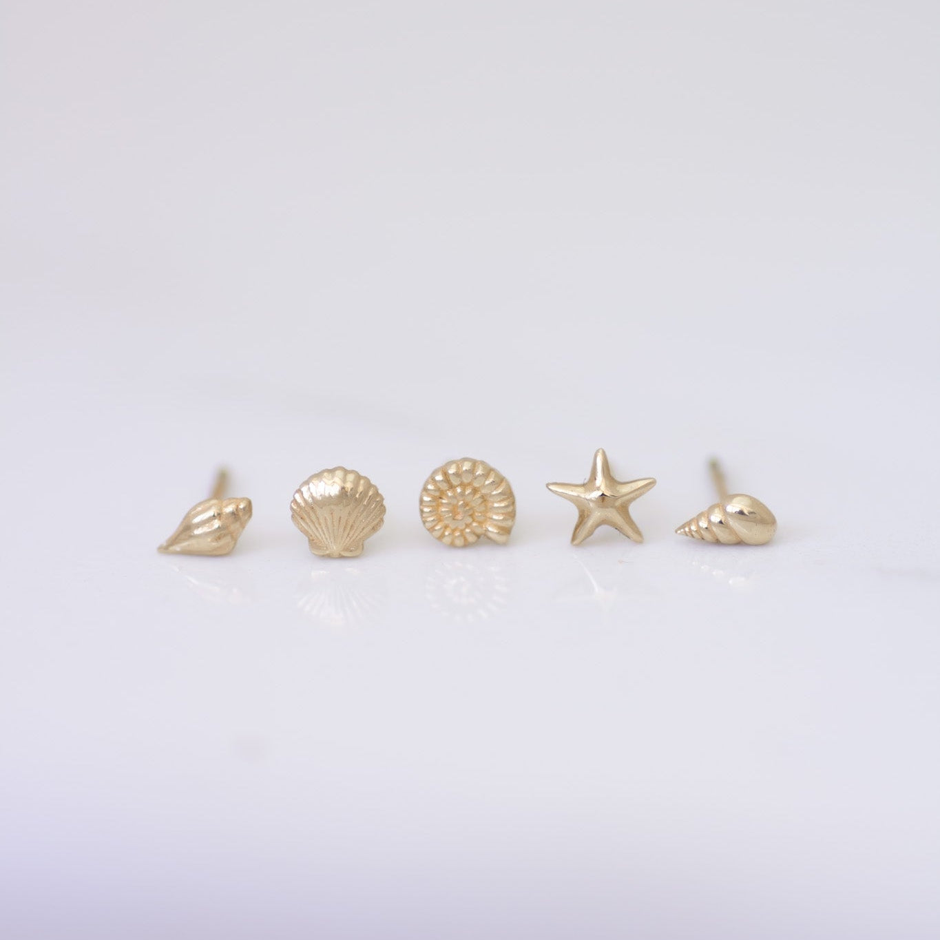 Mini Seashell Studs Set in 14k gold