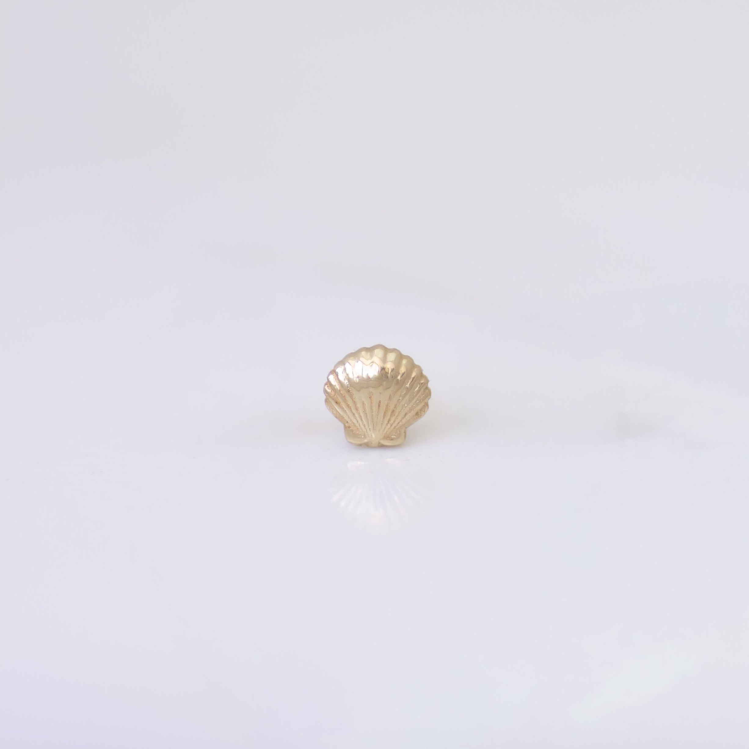 Scallop Shell Earring Stud in 14k gold