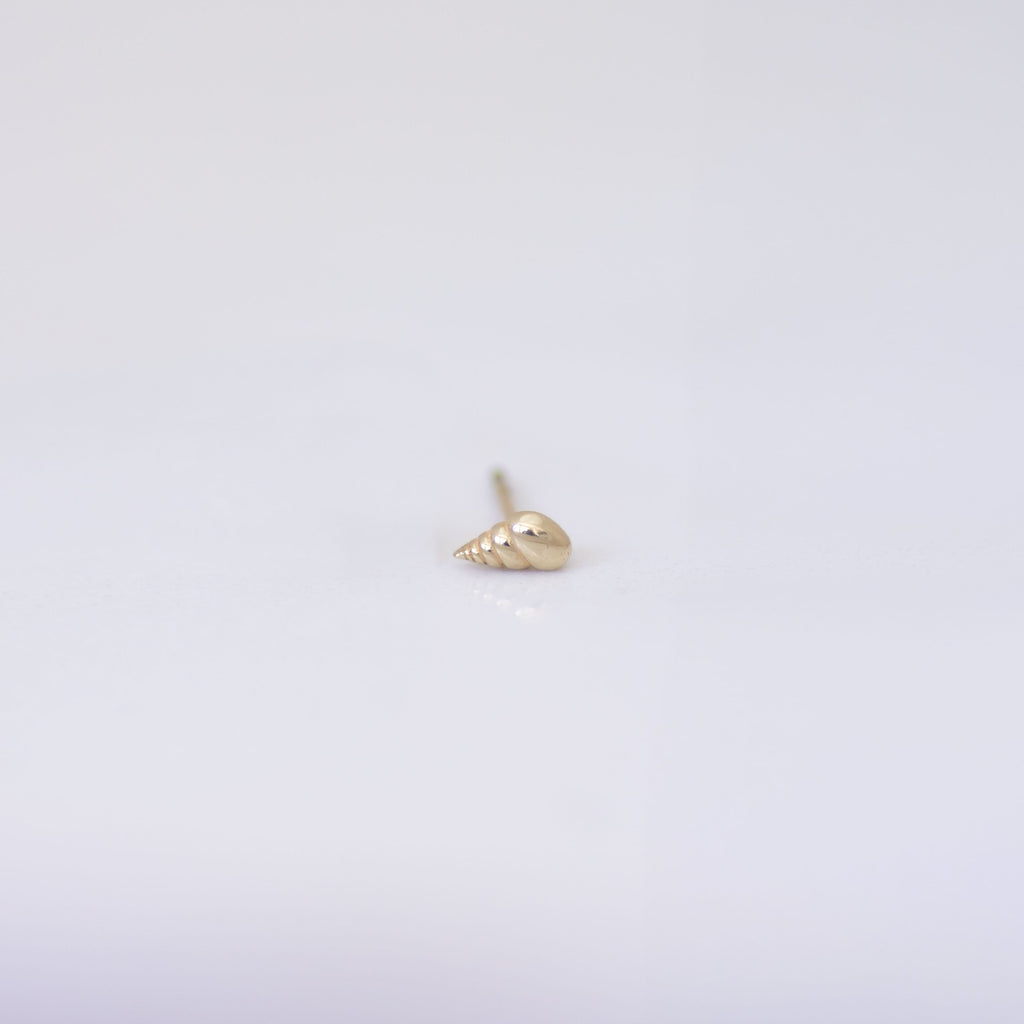 Spiral Shell Earring Stud in 14k gold