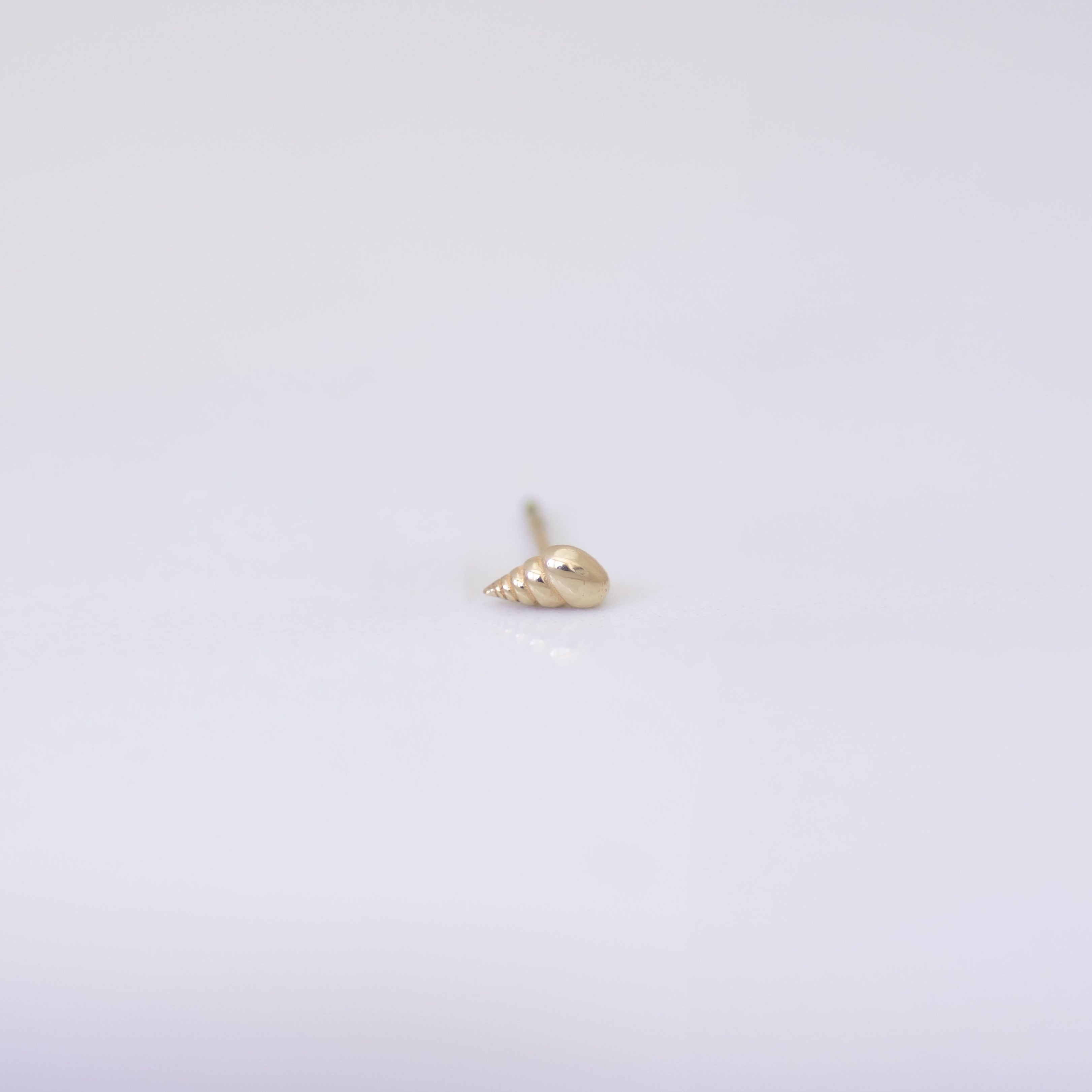 Spiral Shell Earring Stud in 14k gold