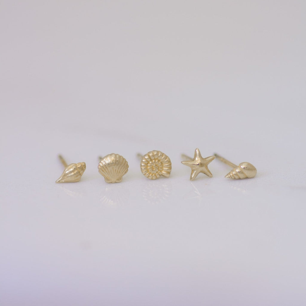 Mini Seashell Studs Set in 14k gold