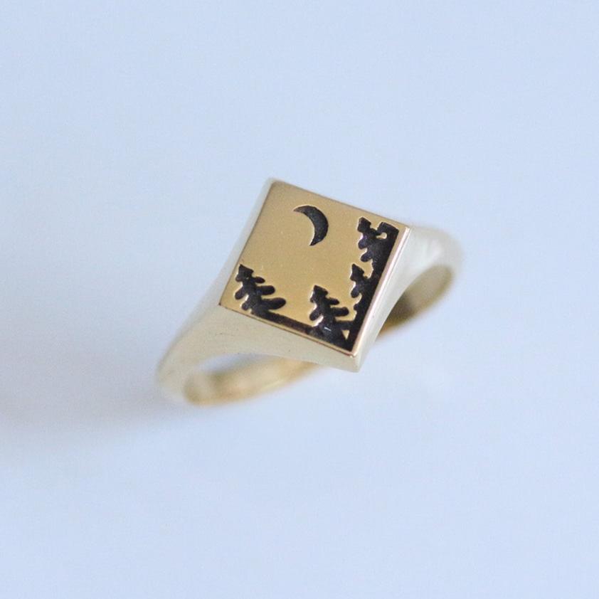 Yosemite Signet Ring 14k gold